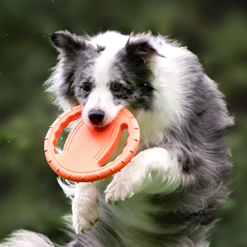 Frisbee Freestyle Disc - 耐久性のある犬用フライングディスクおもちゃ、ペットトレーニング用フェッチフリスビー、噛みつきに強い屋外遊び用インタラクティブ子犬用品、中型犬・大型犬用