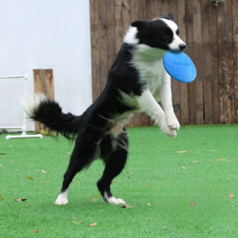 犬用フリスビー、ボーダーアニマルペットドッグスペシャルフリス - Frisbee Freestyle Disc のレビューと価格