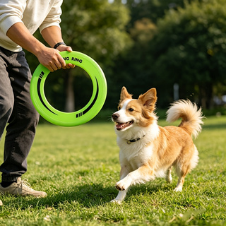 1PC 耐久性のある中空リングフリスビーソフトPPフライング - Frisbee Freestyle Disc のレビューと価格