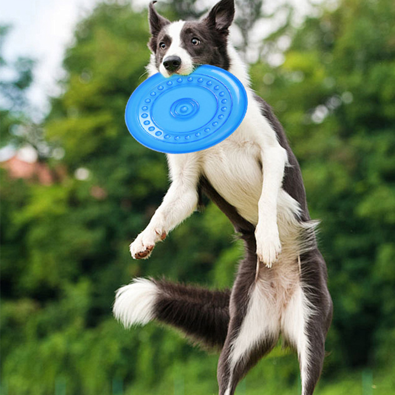 耐久性のある噛むことができるペットトレーニングフリスビーおも - Frisbee Freestyle Disc のレビューと価格